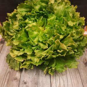 Andijvie Hugo Bogers Boerderijwinkel