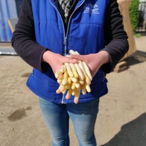Asperge A geschild
