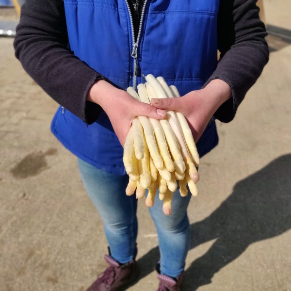 Asperge A ongeschild