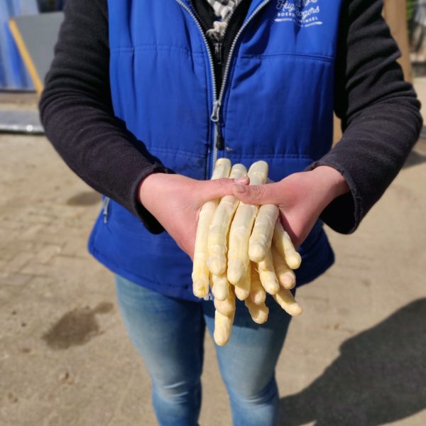 Asperge AA ongeschild