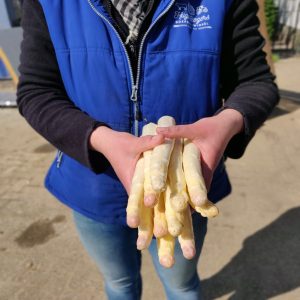 Asperge AAA geschild