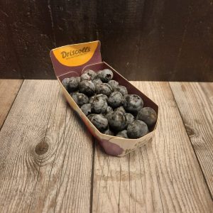 Blauwe bessen Hugo Bogers Boerderijwinkel