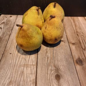 Doyenne du Comice Hugo Bogers Boerderijwinkel