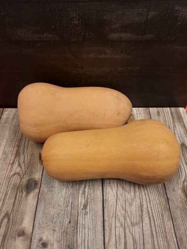 Flespompoen Hugo Bogers Boerderijwinkel