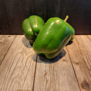 Groene paprika Hugo Bogers Boerderijwinkel