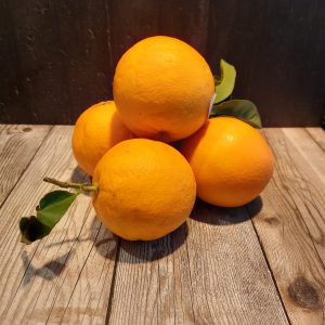 Handsinaasappels Hugo Bogers Boerderijwinkel