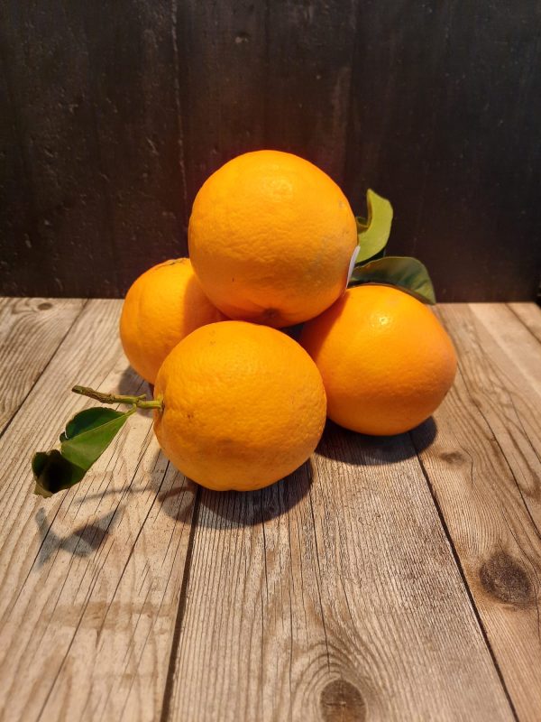 Handsinaasappels Hugo Bogers Boerderijwinkel