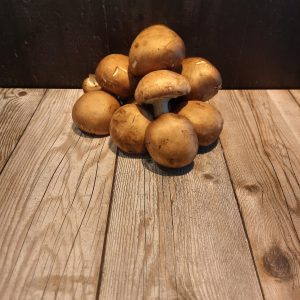 Kastanjechampignon Hugo Bogers Boerderijwinkel