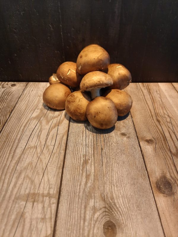 Kastanjechampignon Hugo Bogers Boerderijwinkel