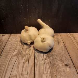Knoflook Spaans Hugo Bogers Boerderijwinkel