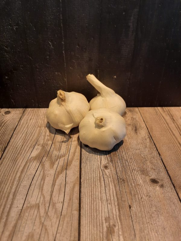 Knoflook Spaans Hugo Bogers Boerderijwinkel