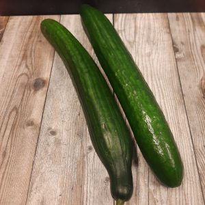 Komkommer Hugo Bogers Boerderijwinkel