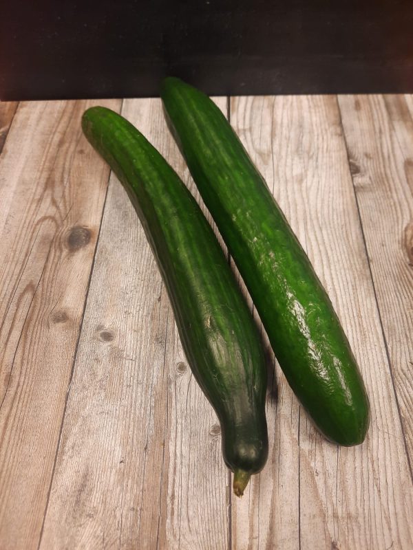 Komkommer Hugo Bogers Boerderijwinkel