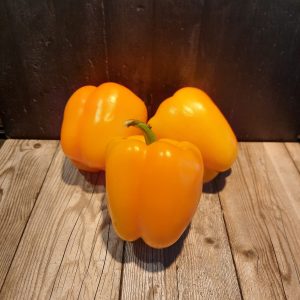 Oranje paprika Hugo Bogers Boerderijwinkel