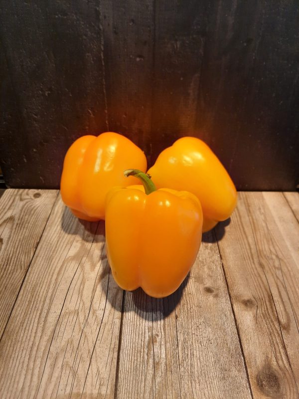 Oranje paprika Hugo Bogers Boerderijwinkel