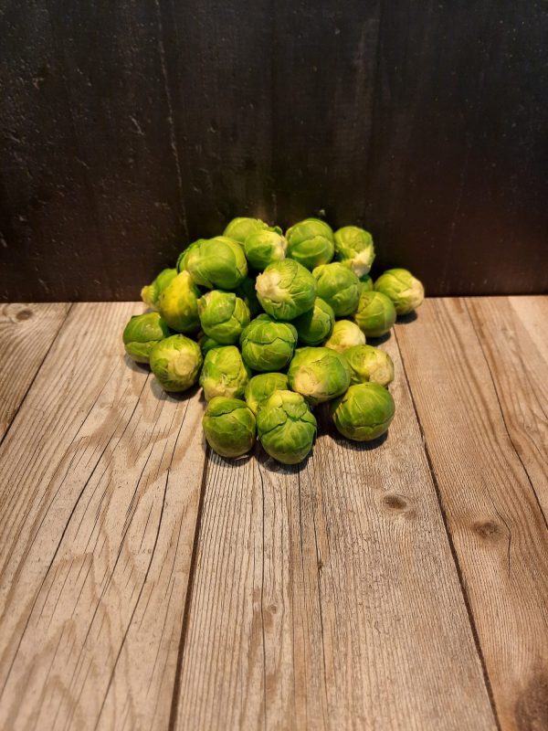 Spruiten Hugo Bogers Boerderijwinkel