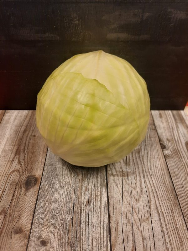 Witte kool Hugo Bogers Boerderijwinkel