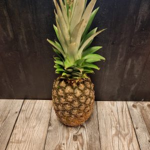 ananas Hugo Bogers Boerderijwinkel