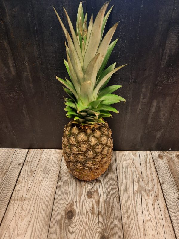 ananas Hugo Bogers Boerderijwinkel