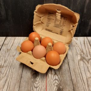 eieren 6 Hugo Bogers Boerderijwinkel