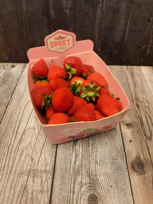 Aardbeien groot